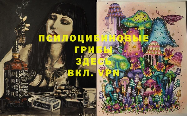 сатива Алзамай