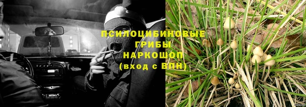 кокс Алексин