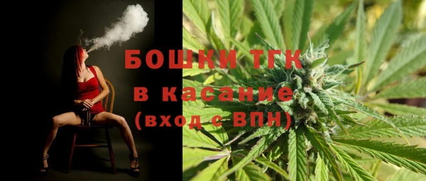 сатива Алзамай