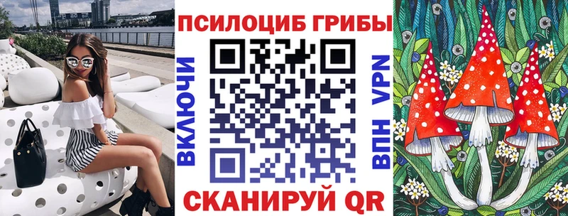 даркнет сайт  Кольчугино  Псилоцибиновые грибы мицелий 