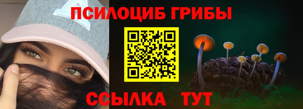 Псилоцибиновые грибы прущие грибы Кольчугино